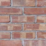 LBC Common Free Sample